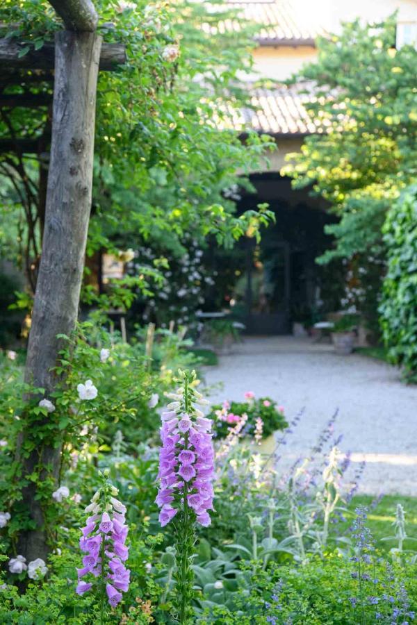 Villino Di Porporano Bed & Breakfast Parma Bagian luar foto