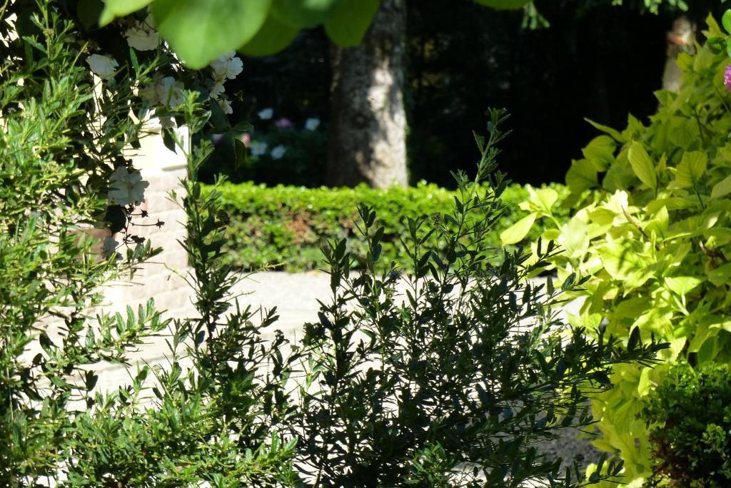 Villino Di Porporano Bed & Breakfast Parma Bagian luar foto